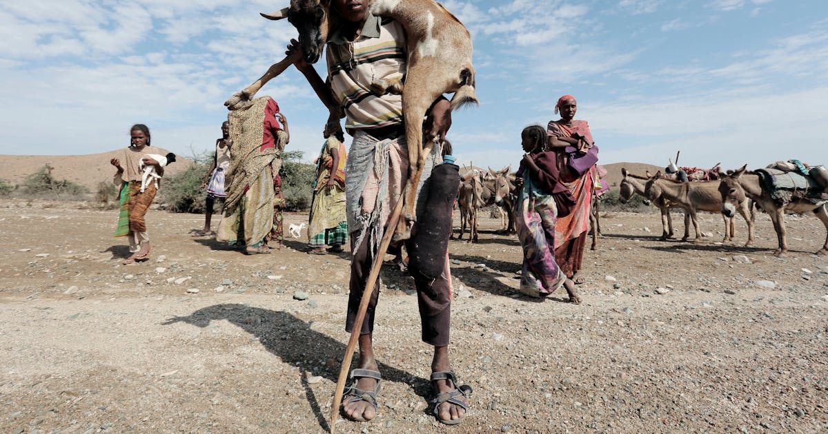 День засухи. Засуха и голод в Восточной Африке 2011. Африканский Рог засуха.