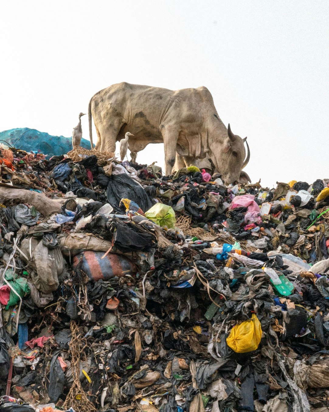 Behold din hullede Ghana er ved at i vores ubrugelige genbrugstøj